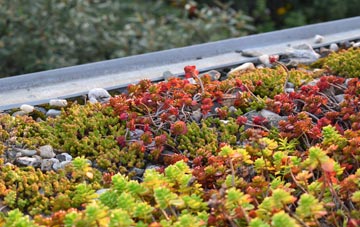 the cost of Pule Hill green roof installation