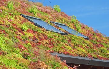 Pule Hill living roof systems
